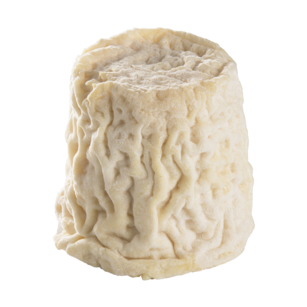 Chabichou du Poitou fermier AOP Le Chat-Bo - 1