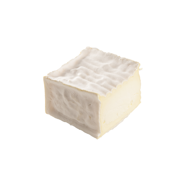 Bûche du Pilat Le Chat-Bo - 1